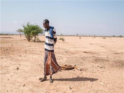برنامج الأغذية العالمي يحذر من مجاعة تهدد 22 مليون شخص في القرن الإفريقي