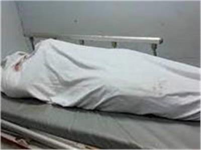 الأجهزة الأمنية تلقي القبض على المتهم بقتل زوجته بـ«طحوريا» بالقليوبية