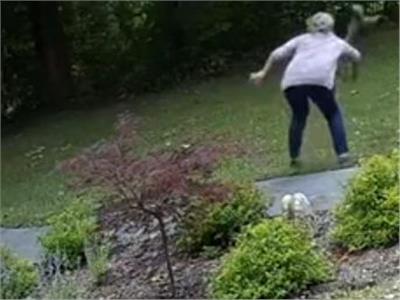 ثعلب «مسعور» يهاجم سيدة أمريكية بشراسة| فيديو