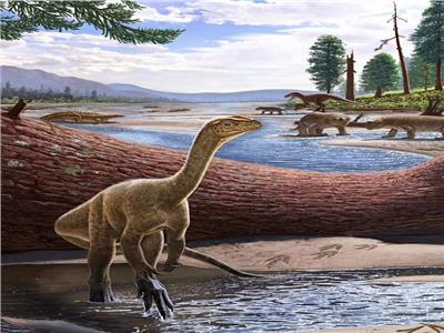 يعود تاريخه إلى 230 مليون سنة.. اكتشاف أقدم ديناصور في إفريقيا 