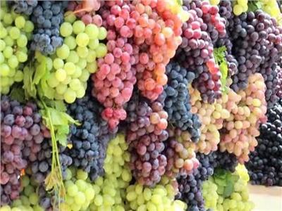 أسعار الفاكهة في سوق العبور الأربعاء 7 سبتمبر 