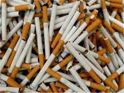 شعبة الأدخنة: ارتفاع في أسعار بعض أصناف السجائر ما بين جنيه وجنيهان