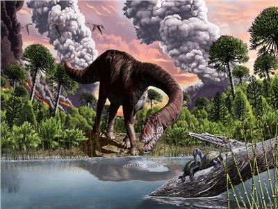 عمره 150 مليون سنة| اكتشاف موقع نباتات العصر الجوراسي النادرة