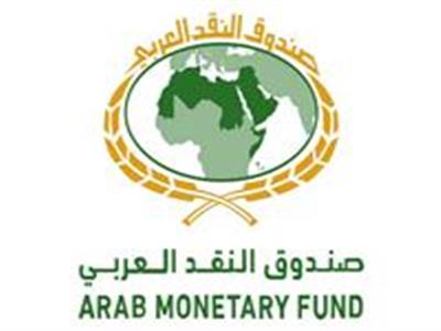 عبدالرحمن الحميدي: صندوق النقد العربي يدعم جهود الأعضاء في التحول المالي الرقمي