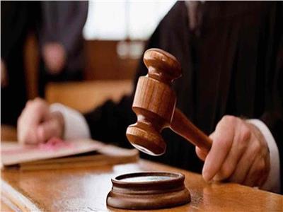 جنايات المنيا تستأنف جلسات محاكمة 20محاميا أهانوا القضاة