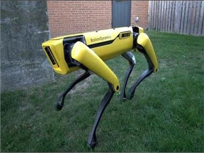 تطوير روبوت على شكل «كلب» لجعله أكثر ألفة من الحقيقي