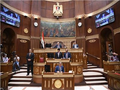 برلماني: فوز مصر بـ 5 مشروعات شهادة دولية بنجاح مسيرة البناء والتنمية