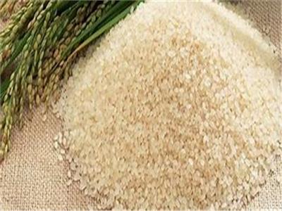 «التموين» تواصل استلام الأرز المحلي.. وعقوبات رادعة على الممتنعين