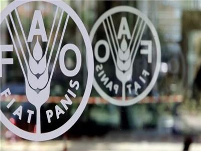 منظمة فاو: تراجع مؤشر أسعار الغذاء للشهر السادس على التوالي