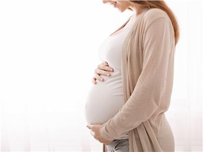 خبير «خصوبة»: النظام الغذائي النباتي قد يزيد من صعوبة الحمل على النساء 