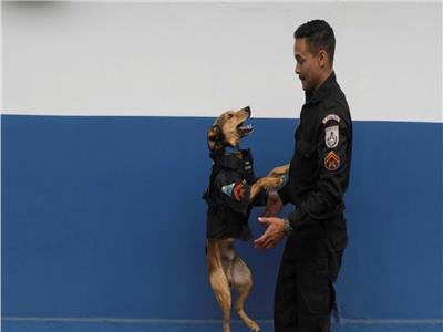 كلب يعمل ضابط شرطة في البرازيل يثير ضجة على مواقع التواصل  