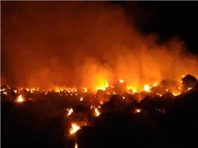 حريق هائل يلتهم محصول بصل وقش الأرز في أرض زراعية بالدقهلية | صور