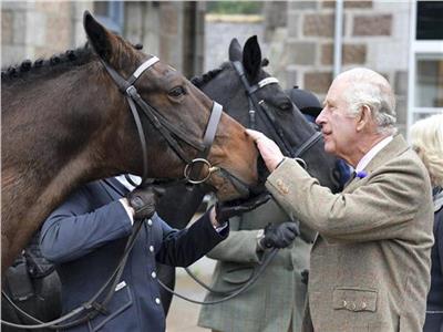 الملك تشارلز يقرر بيع 14 من خيول الملكة اليزابيث