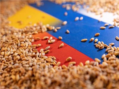 الولايات المتحدة ترحب بنقل روسيا 500 ألف طن من الحبوب للدول المحتاجة