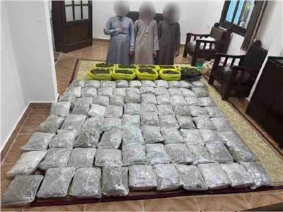 في ضربة أمنية حاسمة.. ضبط 300 كيلو من مخدر«هيدرو» بـ7.5 مليون بجنوب سيناء