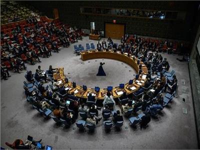 مجلس الأمن الدولي يعارض مشروع قرار روسي بشأن الأنشطة البيولوجية في أوكرانيا
