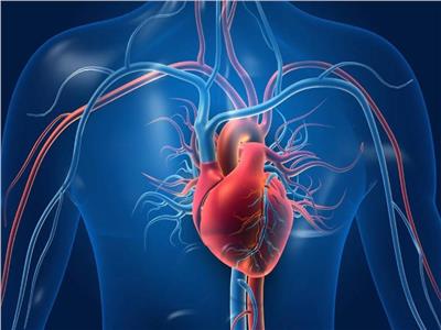 توافر تقنية جديدة بديلة لعمليات القلب المفتوح بمستشفيات التأمين الصحي الشامل