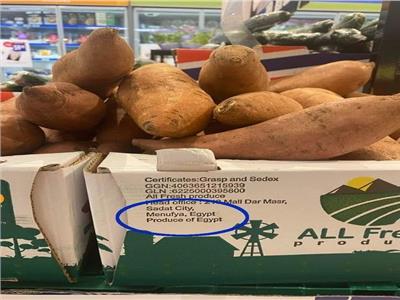 البطاطا المصرية تغزو أسواق النرويج