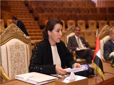 وزيرة البيئة الإماراتية: ندعم مصر في جهود التنفيذ لخفض الانبعاثات