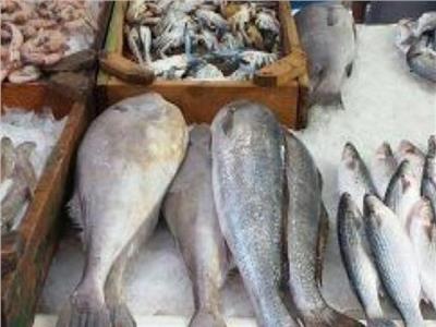 ضبط أسماك منتهية الصلاحية فى حملة لتموين الغربية  
