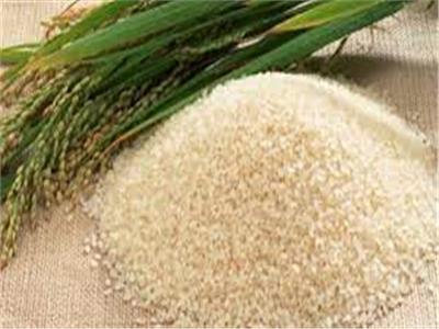 توريد 34 ألف طن من الأرز الشعير لمواقع التجميع بالشرقية