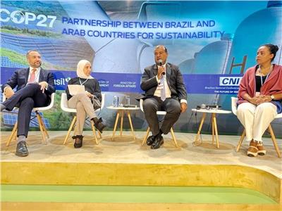 اتحاد الغرف العربية: يجب الاستفادة من قدرات البرازيل في سوق الكربون