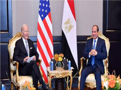 نائب الشيوخ: القمة المصرية الأمريكية عكست أهمية مكانة مصر الدولية