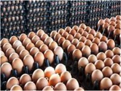 تراجع أسعار البيض الإثنين 14 نوفمبر