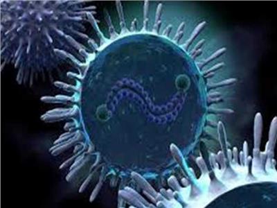 استشاري: الفيروس المخلوى يخترق الجهاز التنفسي بسهولة