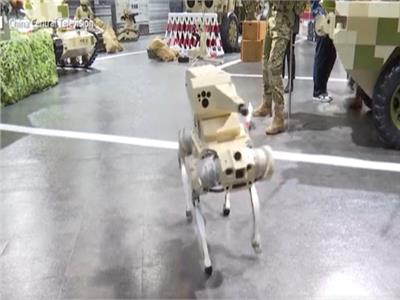 فيديو| الصين تطور روبوتا قتاليا
