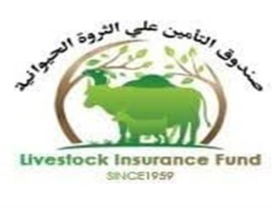 «صندوق التأمين على الماشية» يوفر منتجات أعلاف عالية الجودة لتغذية الحيوانات