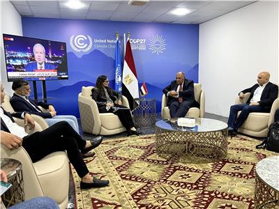 وزير الخارجية يلتقي الوزراء المكلفين بتيسير المفاوضات بـ«قمة المناخ»    