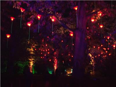أضواء عيد الميلاد تحول حدائق «كيو» في لندن إلى أرض عجائب | فيديو