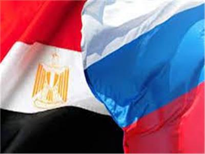 المركزي للإحصاء: 194 مليون دولار صادرات مصر من الخضروات لروسيا 