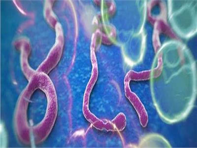 بعد عودة انتشاره.. تعرف على أبرز أعراض الإصابة بمرض إيبولا القاتل