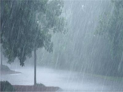 «الأرصاد»: معدلات الأمطار زادت على المحافظات خلال آخر 10 سنوات