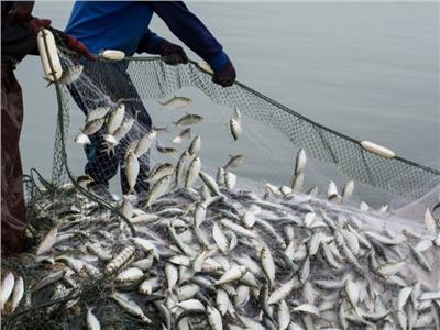مصرع وإصابة 4 أشخاص بسبب النزاع على مناطق صيد الأسماك
