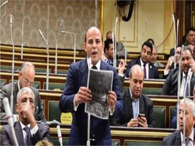 القطامي: قرار البرلمان الأوروبي عن مصر يستند لتقارير منظمات مشبوهة