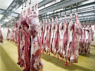 الزراعة: «القومي للبتلو» ضاعف حجم إنتاج اللحوم لـ 6 أضعاف