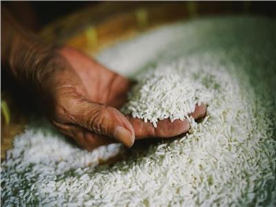 «التموين»: عيب نستورد أرز وإنتاجنا يكفي الاستهلاك ويفيض 400 ألف طن زيادة