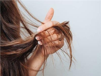 للجنس الناعم.. وصفات طبيعية لعلاج ترميم الشعر التالف 