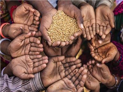 خبير اقتصادي: 2.3 مليار نسمة حول العالم يعانون من نقص الغذاء