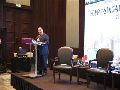 وزير المالية : سنغافورة من أكبر الدول الآسيوية استثمارًا فى مصر بنحو مليار دولار