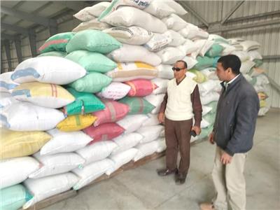 توريد 59 ألف طن من محصول الأرز للشون بالبحيرة 