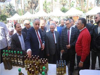 افتتاح أول مهرجان للزيتون في مصر بحديقة الأورمان بمشاركة عربية| صور