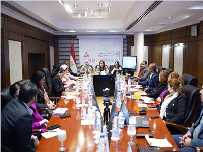 لجنة القومي لتنمية الأسرة المصرية تتابع الموقف التنفيذي لخطط المشروع