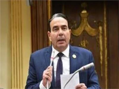 برلماني: مصر لديها مخزون استراتيجي من المواد الغذائية رغم الأزمات العالمية