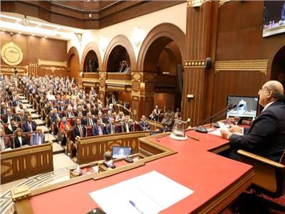 مجلس الشيوخ يوافق على اختصاصات المدير التنفيذي لصندوق مصر الرقمية ‎‎