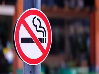 دول أوروبية تبرم قوانين صارمة لمنع بيع السجائر نهائيا.. أبرزها نيوزيلندا 