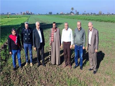 الزراعة: حملات لمتابعة محاصيل القمح والبنجر والبصل في الغربية